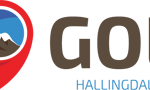 golinfo-logo