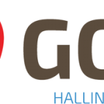 golinfo-logo-retina