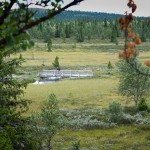 Sykkel Golsfjellet