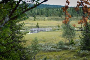Foto: Bjørn Jarle Kvande