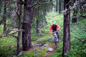 Foto: Bjørn Jarle Kvande