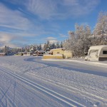 Lægret_Vinter-9