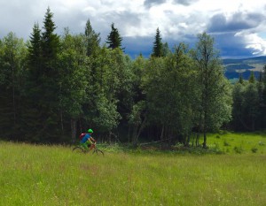 Foto: Sveinung Hveding