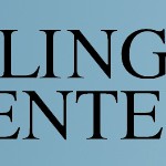 Hallingdal Bilsenter_Logo