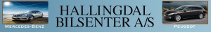 Hallingdal Bilsenter_Logo