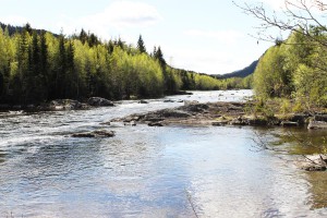 Hallingdalselva_bunn