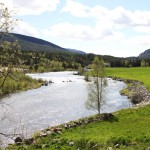 Hallingdalselva_Cover