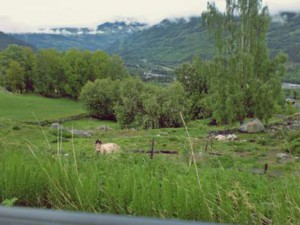 Skaga_Bunn