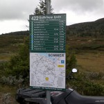 Gullknapp tjedn