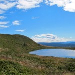 Ørterhøvda