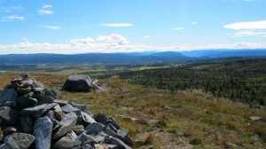 Ørterhøvda