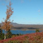 Auenhaugen1