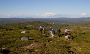 Auenhaugen2