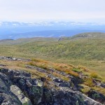 Nystølvarden