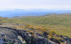 Nystølvarden