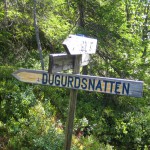 Sommernatur 03