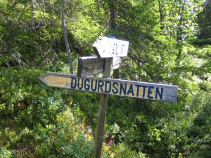 Dugurdsnatten