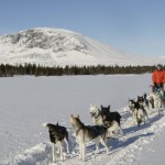 gallerymainimage-dogsledding-19-hemsedal-06-5