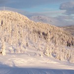 Gol Skipark