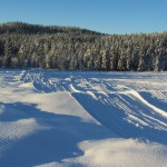 IMG_0104