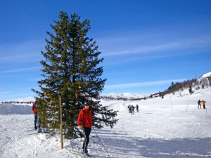 Foto: Arne Nibstad