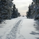 Vinterfjell 17