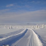 Vinterfjell 26