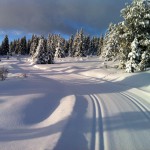 Vinterfjell 07
