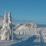 Vinterfjell 10
