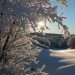 Vinterfjell 12