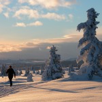 Vinterfjell 14