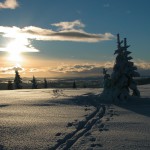 Vinterfjell 15
