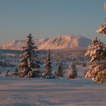 Vinterfjell 16