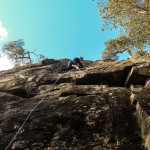 Bakom synger skogene_Natten