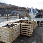 Hallinghage_5