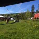 11403361_702349559891408_6059899913604205626_n