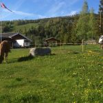 Åsgardane_4