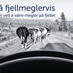 Fjellmegleren