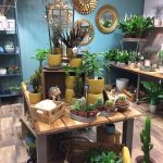Blomster bilder