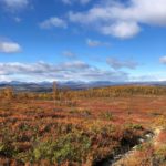 Nystølsfjellet Irene