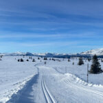 Golsfjellet vinter