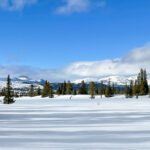 Image00001