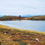 Dugurstjern, Nystølfjellet. Foto Sissel Bjørøen