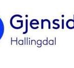 gjensidige