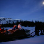 horse sledding-17-hemsedal-NEB 06-