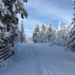 58a5b7c7-e645-58ff-0e1e-2a0dd45c5934