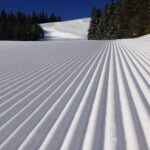 aff96865-7145-339a-c236-bc176d5c0519