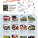 Velkommen til stølsliv i Hallingdal