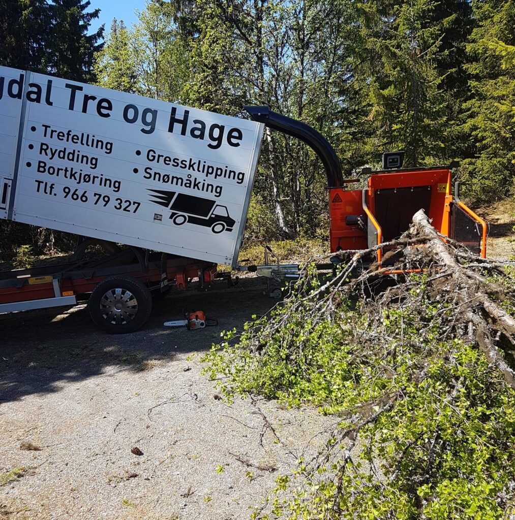 Hallingdal tre og hage