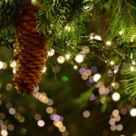 christmas-garland-3891232_1920